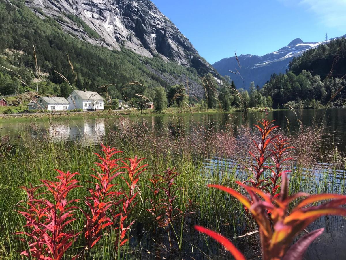 Trolltunga Skjeggedal Villa Buitenkant foto